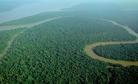 oblast amazonského deštného pralesa v Brazílii