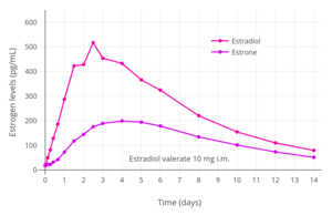 Estrogen levels after a single intramuscular injection of 10 mg estradiol valerate in oil in 24 postmenopausal women.[9] Determinations were made for both Progynon Depot 10 and Estradiol Depot 10, for a total of 48 measurements per point.[9] Assays were performed using GC/MS-NCI/SIM.[9] Source was Schug et al. (2012).[9]