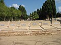 חללי האונייה "פאטריה" בבית הקברות חוף כרמל בחיפה