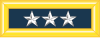 Lieutenant General