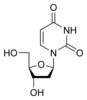 Struktura deoxyuridinu