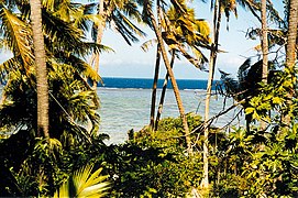 Tropska plaža Korotogo na koraljnoj obali otoka Viti Levu.