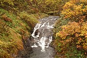 千走登山口付近の千走川