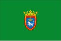 Flagget til Pamplona