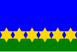 Vlag