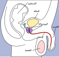 المستقيم يمكن أن يرى على يسار الرسم التوضيحي.