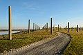 Des poteaux plantés dans l'espace Baylands, œuvre d'art au Byxbee Park. Janvier 2013.