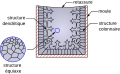 Morphologie cristalline de solidification typique d'un lingot