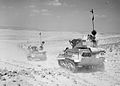 Vickers lett stridsvogn i ørken, 1940
