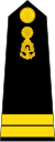 Lieutenant Junior Grade