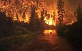 Image 4Elk Bath, an award-winning photograph of elk avoiding a wildfire in Montana (from Wildfire)