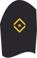 Ärmelabzeichen Dienstanzug Marineuniformträger 20er Verwendungsreihen