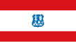 Vlag van Asunción