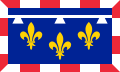 Flag fan de regio Sintre-Loirefallei