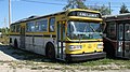 Two of the Hamilton Street Railway's former Flyer E800 trolley buses are preserved at the Halton County Radial Railway museum.