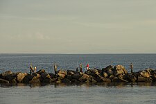 Fishers at South Mole