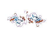 2bn2​: Kristalna struktura goveđeg neurofizina II u kompleksu sa vazopresin analogom PHE-TYR amidom