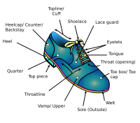 Տիպիկ պաշտոնական կոշիկների սխեման