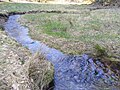 Der Aubach in einer Waldlichtung am Oberlauf