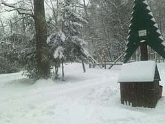 ...und im Winter, in den Ausläufern der Schweinfurter Rhön, im Norden der Stadt