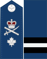 加拿大皇家空軍准將肩章及袖章
