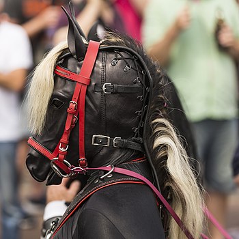 Припадник ЛГБТ популације са фетишем коња (Парада поноса у Келну, Немачка)