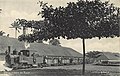농장에서 운영하는 기차 (1910년)