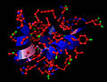 Insulinets struktur Rødt: karbon; grønt: oksygen; blått: nitrogen; rosa: svovel. De blå/lilla båndene angir skjelettet [-N-C-C-]n i proteinets aminosyre-sekvens H-[-NH-CHR-CO-]n-OH der R er delen som stikker ut fra skjelettet i hver aminosyre.