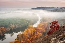 Туман над Сіверським Дінцем у заповіднику «Крейдова флора»