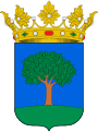 Blason de Amezketa