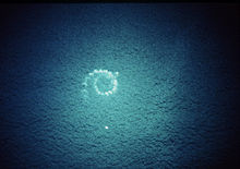 Fotografie z ptačího pohledu ukazuje moře, uprostřed jsou bubliny ve tvaru čísla 9