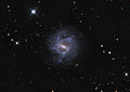 NGC 1073 par Adam Block (Observatoire du mont Lemmon/Université de l'Arizona).