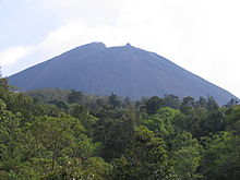 La silhouette bleutée du volcan se détache derrière un premier plan de cimes d'arbres.