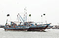 Naves piscatoriae in Portu Karachii