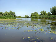 Astrakhan. Delta de la Volga.