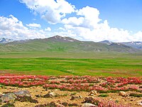 Parque Nacional Deosai, Gilgit-Baltistão