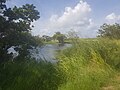 Étang de la base de loisirs du domaine de la Mahaudière