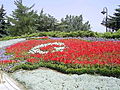 Image 1Flag of Turkey, from flowers