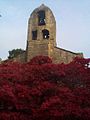 Bothal church in the summer