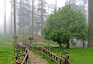 Dhanaulti Eco park