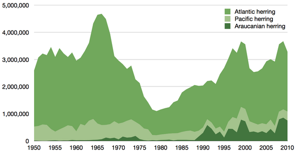 ↑  Clupea herrings, 1950–2010[1]