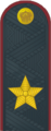 Генерал внутренней службы Российской Федерации (ФСИН России)