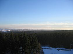 rigardo de Weißer Stein en la arbaro Zitterwald suden al la Schneifel