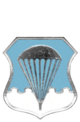 Air Force Basic Parachutist Badge