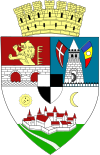 Huy hiệu của Timișoara