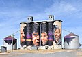 Silos décorés à Sheep Hills (Australie).