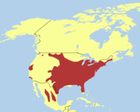 Distribution of M. gallopavo