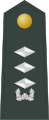 대위 (Daewi) South Korean marine force