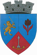 Wappen von Cehu Silvaniei