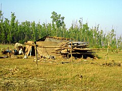 Наслідки тропічного циклону